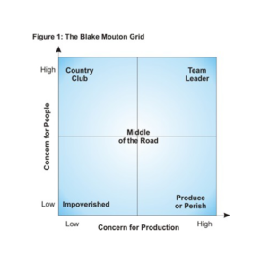 Figure 1 - The Blake Mouton Grid