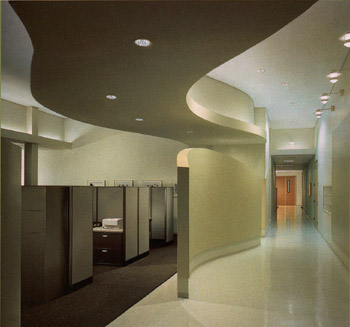 Commercial Office Setting